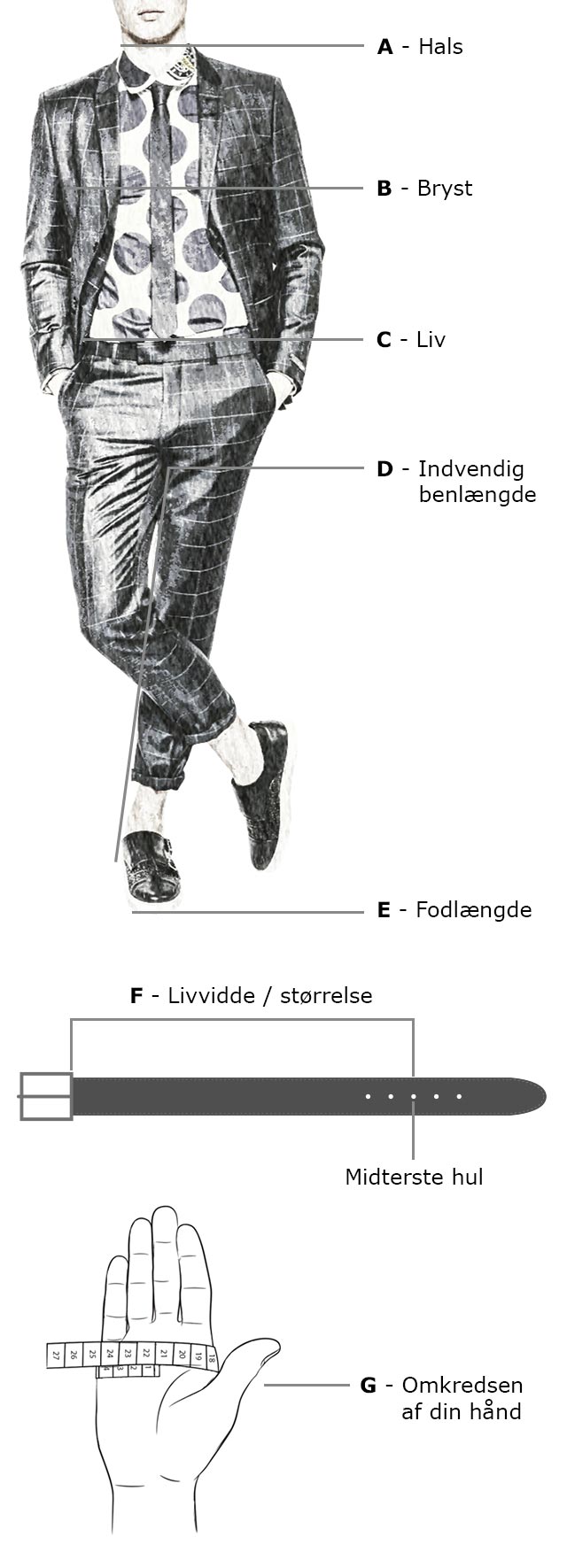 Størrelsesguide