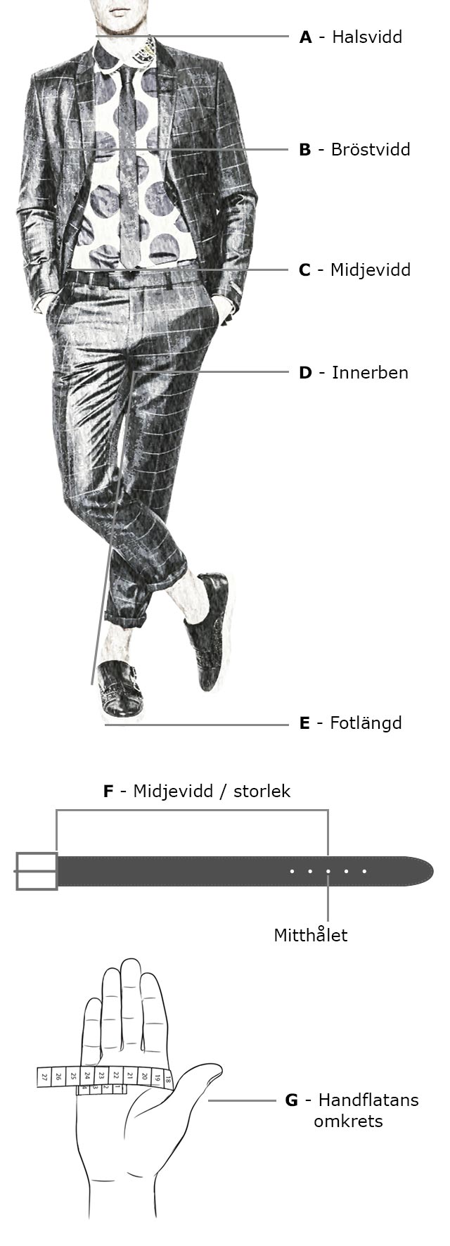 Storleksguide